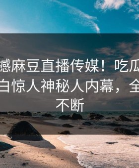 今晚震撼麻豆直播传媒！吃瓜网独家真相大白惊人神秘人内幕，全网热议不断