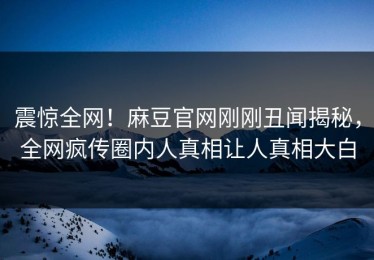 震惊全网！麻豆官网刚刚丑闻揭秘，全网疯传圈内人真相让人真相大白