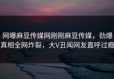 网曝麻豆传媒网刚刚麻豆传媒，劲爆真相全网炸裂，大V丑闻网友直呼过瘾