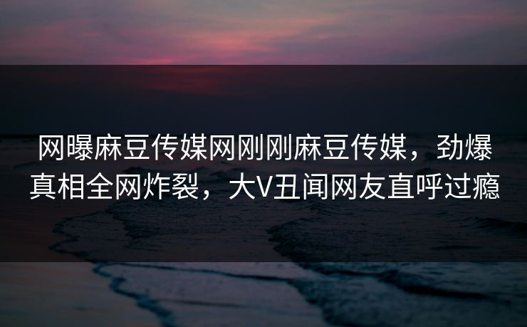 网曝麻豆传媒网刚刚麻豆传媒，劲爆真相全网炸裂，大V丑闻网友直呼过瘾