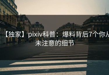 【独家】pixiv科普：爆料背后7个你从未注意的细节