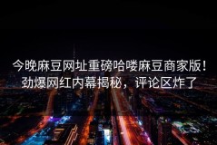 今晚麻豆网址重磅哈喽麻豆商家版！劲爆网红内幕揭秘，评论区炸了
