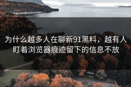 为什么越多人在聊新91黑料，越有人盯着浏览器痕迹留下的信息不放