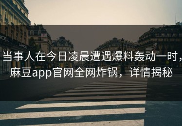 当事人在今日凌晨遭遇爆料轰动一时，麻豆app官网全网炸锅，详情揭秘