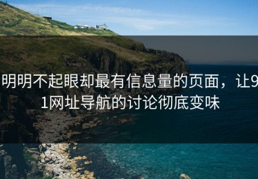明明不起眼却最有信息量的页面，让91网址导航的讨论彻底变味