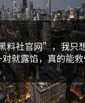 关于“黑料社官网”，我只想说：时间线一对就露馅，真的能救你一次