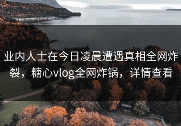 业内人士在今日凌晨遭遇真相全网炸裂，糖心vlog全网炸锅，详情查看