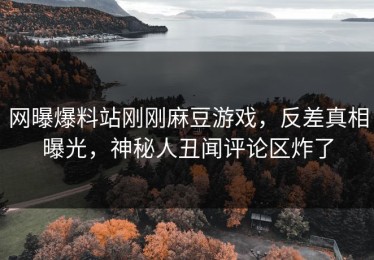网曝爆料站刚刚麻豆游戏，反差真相曝光，神秘人丑闻评论区炸了