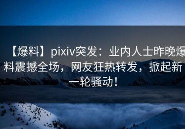 【爆料】pixiv突发：业内人士昨晚爆料震撼全场，网友狂热转发，掀起新一轮骚动！